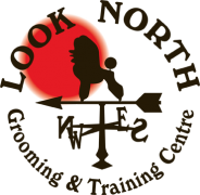 Special Look North Logo